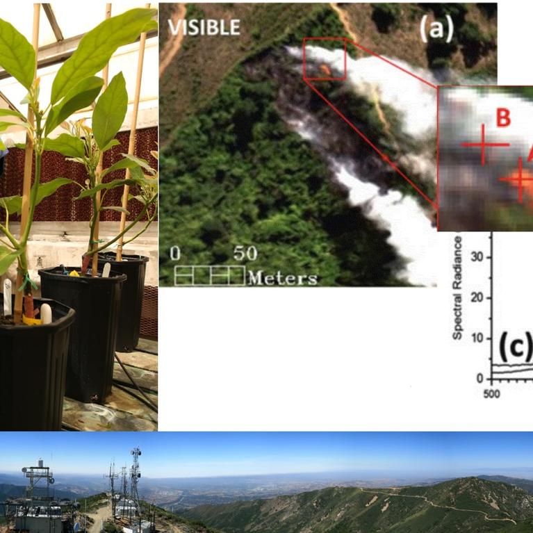 A collage of images from research done by Calit2 researchers